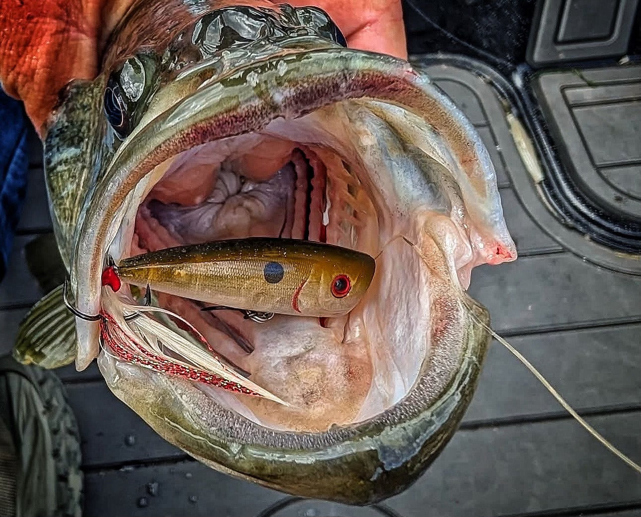 VICIOUS FISHING COPOLYMER: A TOPWATER-FISHING DIFFERENCE MAKER