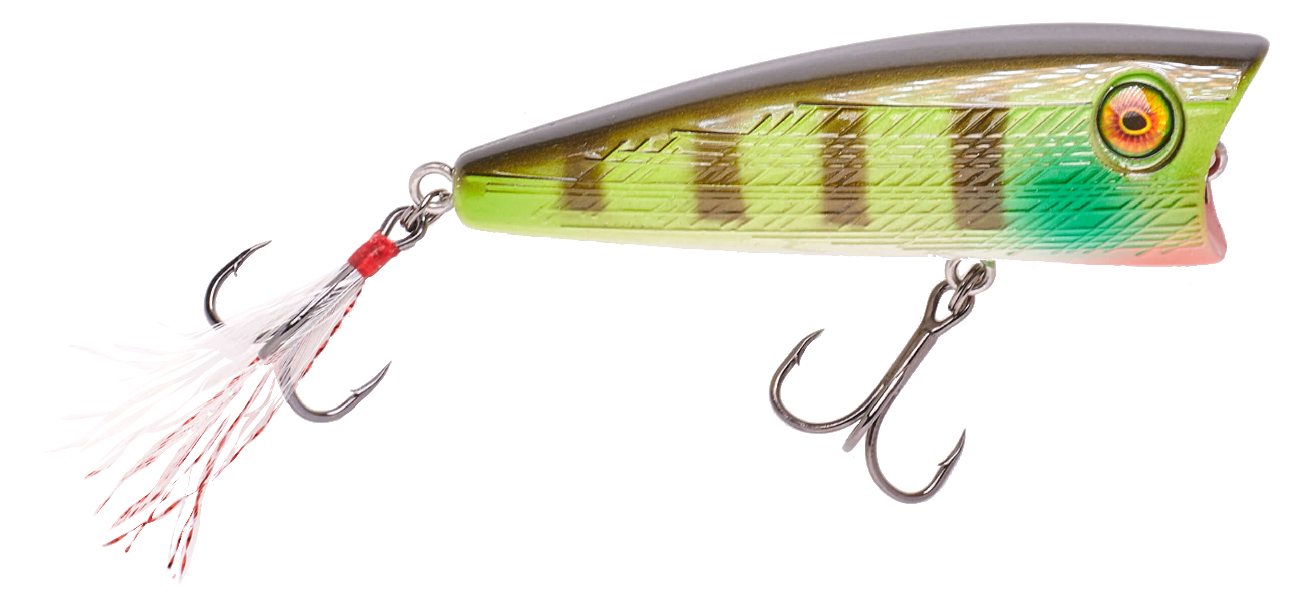 Vicious V-POP Popper - 80mm - Bone – Vicious Fishing