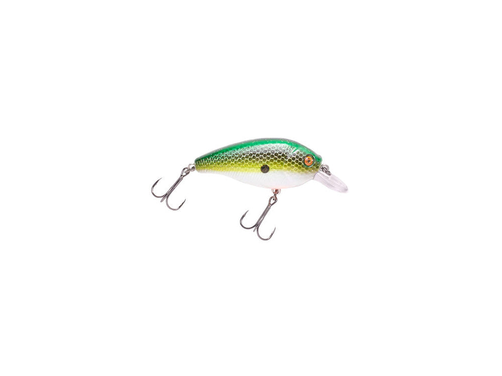 FISHING LURES